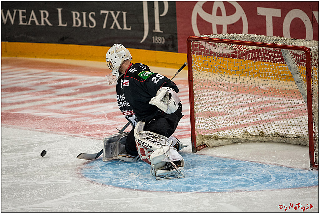DEL, Koelner Haie - Augsburger Panther, 13.01.2017